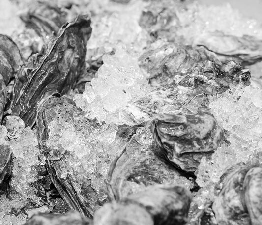 Oysters on Ice